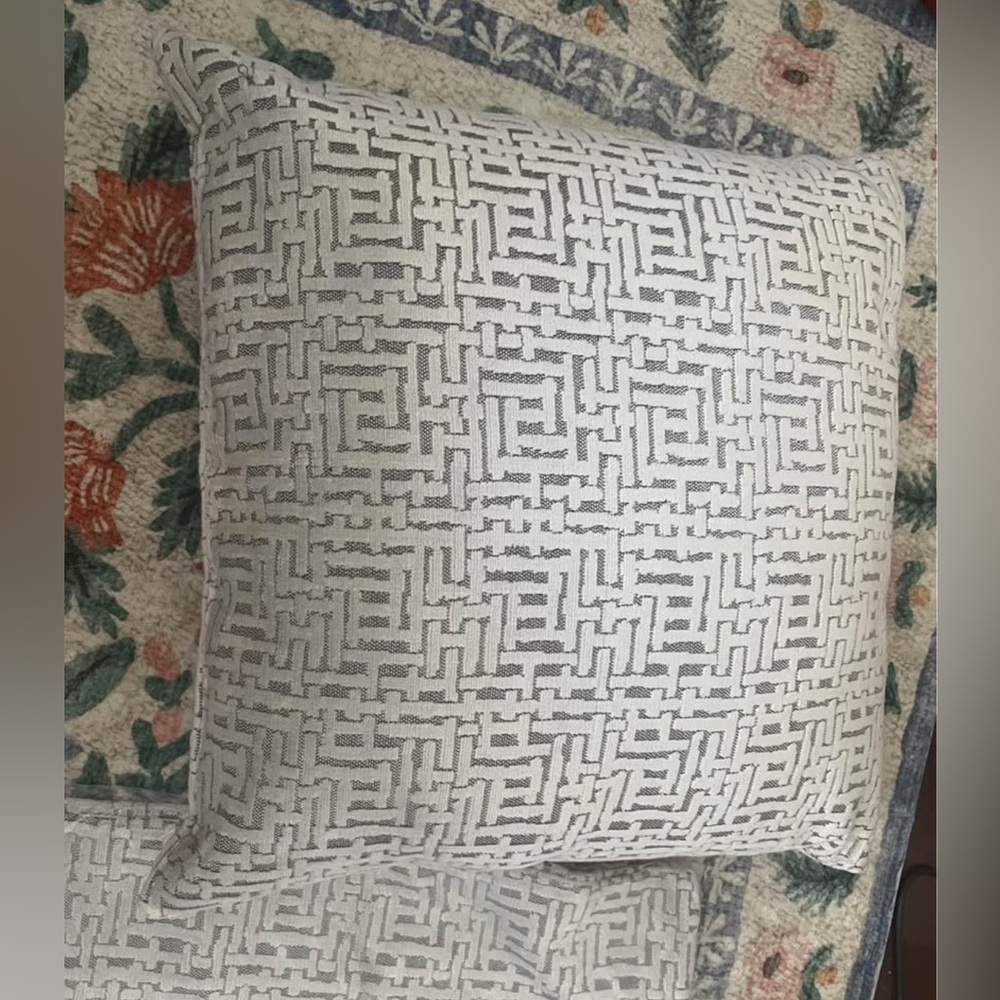 West Elm 20x20 throw pillow covers - two